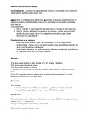 Resumen del caso Barilla SpA (A)