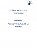 Química Ambiental y Toxicología