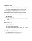 Guia del guerrero dragon