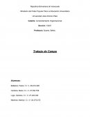 Desarrollo De Las Temáticas Fundamentales Del C.O