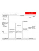 Periodo Pre-patológico Periodo Patológico