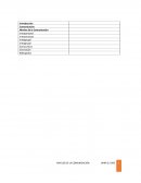 Niveles de la Comunicación