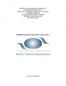 Organización Mundial del Turismo. (O.M.T.)