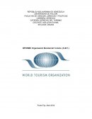 Organización Mundial del Turismo. (O.M.T.)