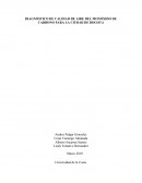 DIAGNÓSTICO DE CALIDAD DE AIRE DEL MONÓXIDO DE CARBONO PARA LA CIUDAD DE BOGOTA