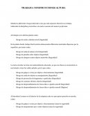 CONSTRUCCIONES ALTURA