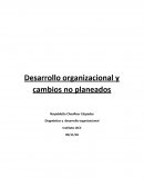 Desarrollo organizacional y cambios no planeados empresa finning Caterpillar