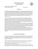 Ensayo Alma Ata