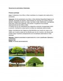 Secuencia de actividades: Estereotipo