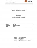 Actividad N° 1 “Análisis de las Estrategias de Marketing”