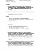 ¿Qué tipo de estructura organizativa cree que posee en la actualidad “Diseños del sur, S.L.”?