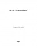 Sistemas de gestión de la calidad de papel