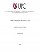 COMPORTAMIENTO ORGANIZACIONAL ¿Qué elementos de los equipos exitosos ve en el grupo de rescate Chavín de Huantar?