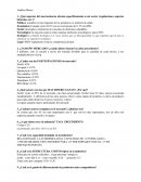 Proyecto análisis industria