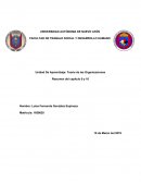 Unidad De Aprendizaje: Teoría de las Organizaciones