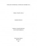 TEORIA Y POLITICA FISCAL INGRESOS PUBLICOS