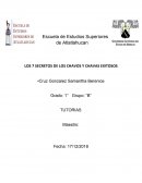 LOS 7 SECRETOS DE LOS CHAVOS Y CHAVAS EXITOSOS