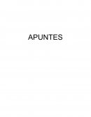 UNIDAD 1 INTRODUCCIÓN E HISTORIA DEL IVA