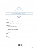 INFORMACIÓN DE LA EMPRESA ENGELS MERKEL Y CIA PERU SAC