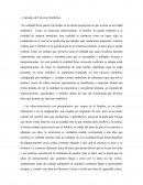 Cassirer y Ortega y Gasset - El ser humano y el universo