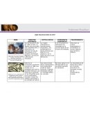 Actividad 2 ¿qué funciones tiene el arte?