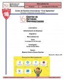 Mercadotecnia de la Empresa TECATE