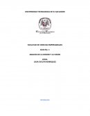 ANALISIS DE LA MISION Y LA VISION
