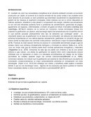 Gasificación por plasma
