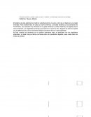 Velocidad instantánea contra velocidad promedio