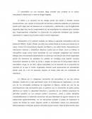 COMPARATIVA DEL NARCOTRAFICO