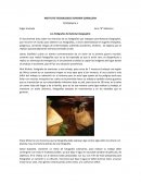 Los fotógrafos de National Geographic