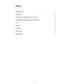 CAPACIDAD DE ADSORCIÓN DE LAS ARCILLAS