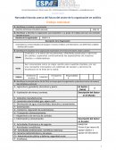 Narrando historias acerca del futuro del sector de la organización en análisis