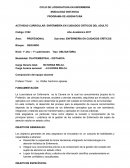 Actividad curricular: Enfermería en cuidados críticos del adulto