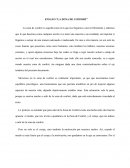 ENSAYO ZONA DE CONFORT