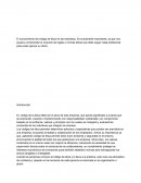 Importancia de los Códigos de Ética y los aportes que estos brindan a las empresas