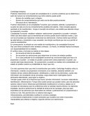 Cambridge analitical