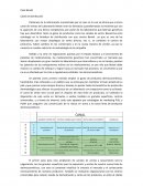 Caso Benati Canal de distribución