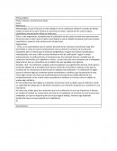 Ficha analítica, historia y conciencia de clases