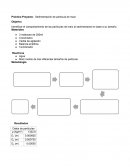 Práctica Proyecto: Sedimentación de partícula de maíz