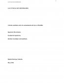 LAS CENIZAS QUE RESPIRAMOS. Articulo académico sobre la contaminación del aire en Medellín