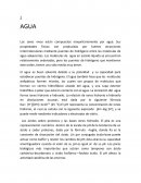 Informe bioquimica. AGUA
