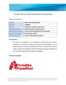 Plan de carrera profesional en las empresa Crédito Familiar S.A. de C.V