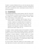 Concepcion de conceptos y esquemas en matemáticas