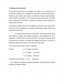 Diagnostico de población