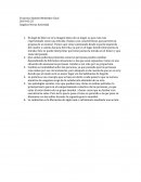 Angelus Novus Actividad