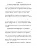 La separación de lo humano y lo animal