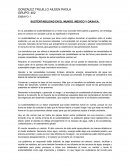 SUSTENTABILIDAD EN EL MUNDO, MEXICO Y OAXACA