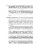 PESTA ELECTROMOVILIDAD