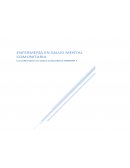ENFERMERIA EN SALUD MENTAL COMUNITARIA